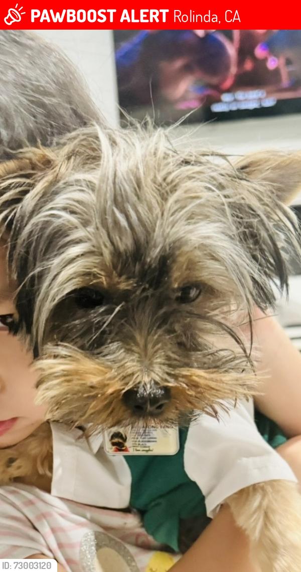 Lost Male Dog last seen Dakota/Rolinda/ Westlawn, Fresno, CA 93723