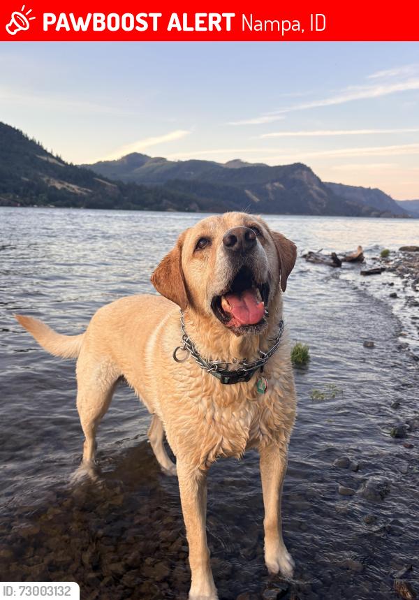Lost Male Dog last seen Roosevelt and Tallapoosa Way, Nampa, ID 83686