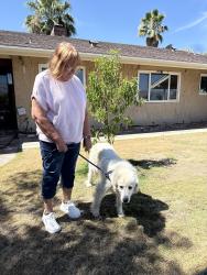 Lost Female Dog last seen Adobe and rio vista , Hemet, CA 92544