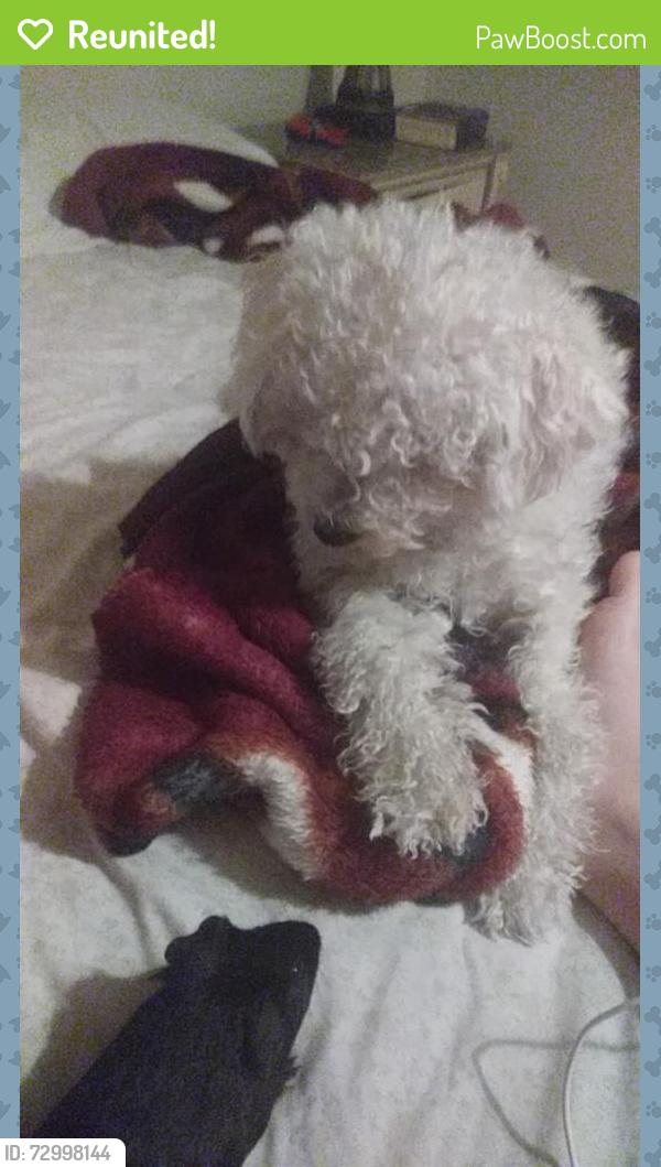 Reunited Female Dog last seen In redwoods est , Federal Heights, CO 80260