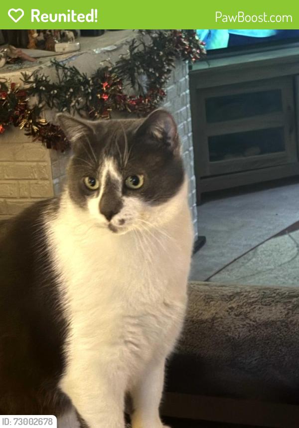 Reunited Male Cat last seen Park blvd and  South Huron River dr, South Rockwood, MI 48179