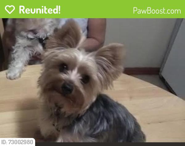 Reunited Male Dog last seen Lemmon street , Rapid City, SD 57701