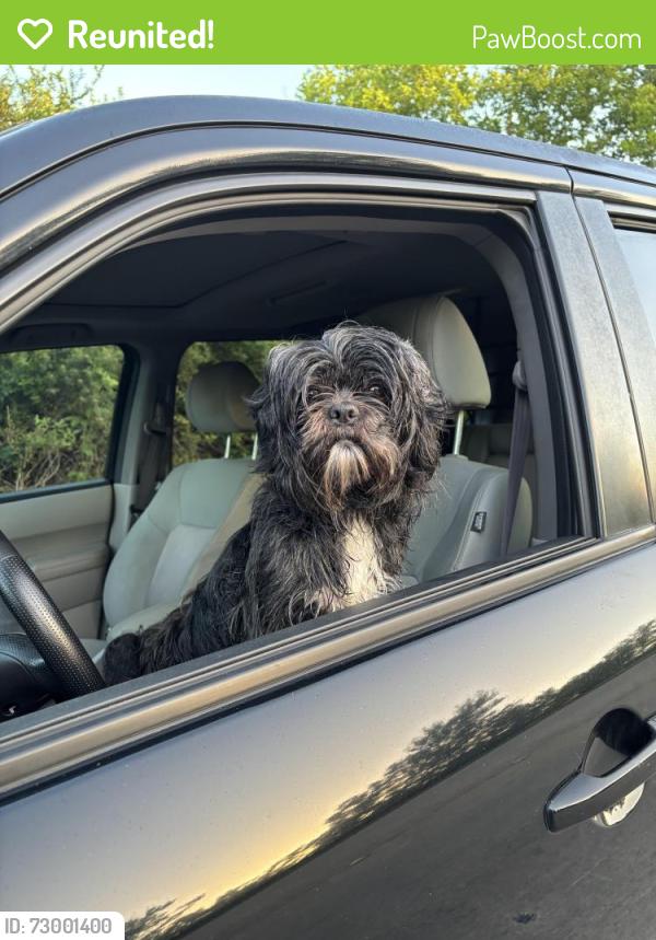 Reunited Male Dog last seen Mission valley, Missouri City, TX 77459
