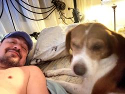 Lost Male Dog last seen Carrolton Drive West, Southaven, MS 38671