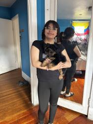 Lost Male Dog last seen Walnut st Upper Darby , Upper Darby Township, PA 19082