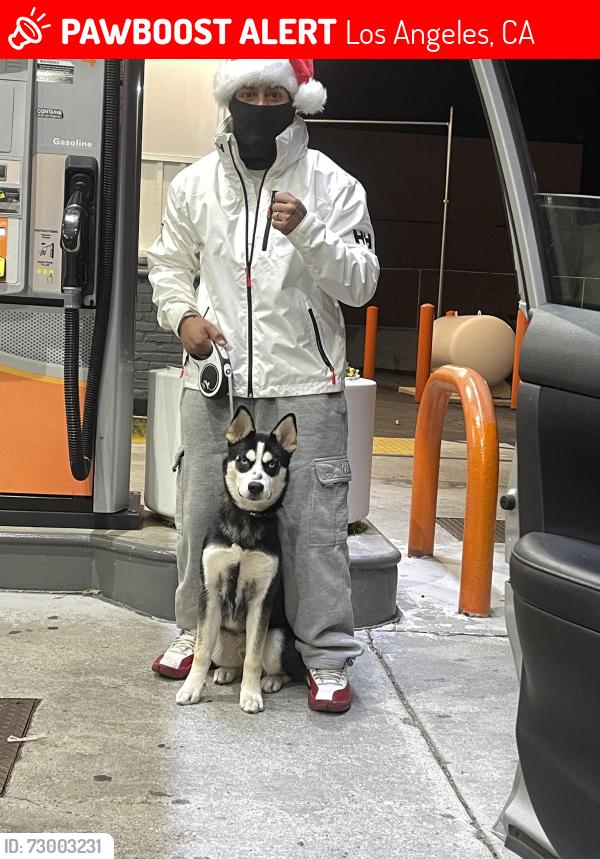 Lost Male Dog last seen Magic Johnson park , Los Angeles, CA 90061