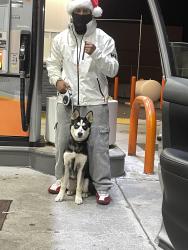 Lost Male Dog last seen Magic Johnson park , Los Angeles, CA 90061