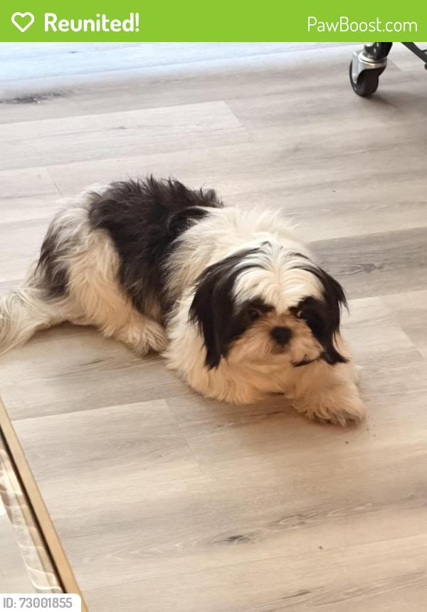 Reunited Female Dog last seen North Park, San Diego, CA 92104