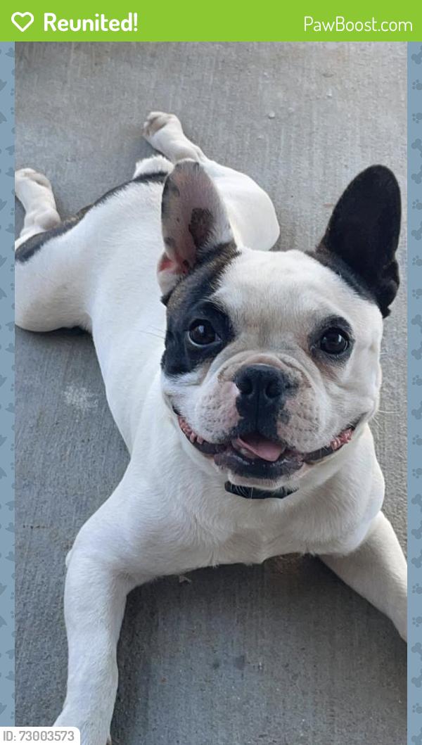 Reunited Male Dog last seen Dallas st, Modesto, CA 95358