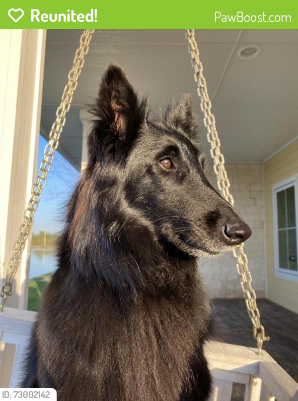 Reunited Female Dog last seen JR’s Golf Course, Oklahoma City, OK 73170