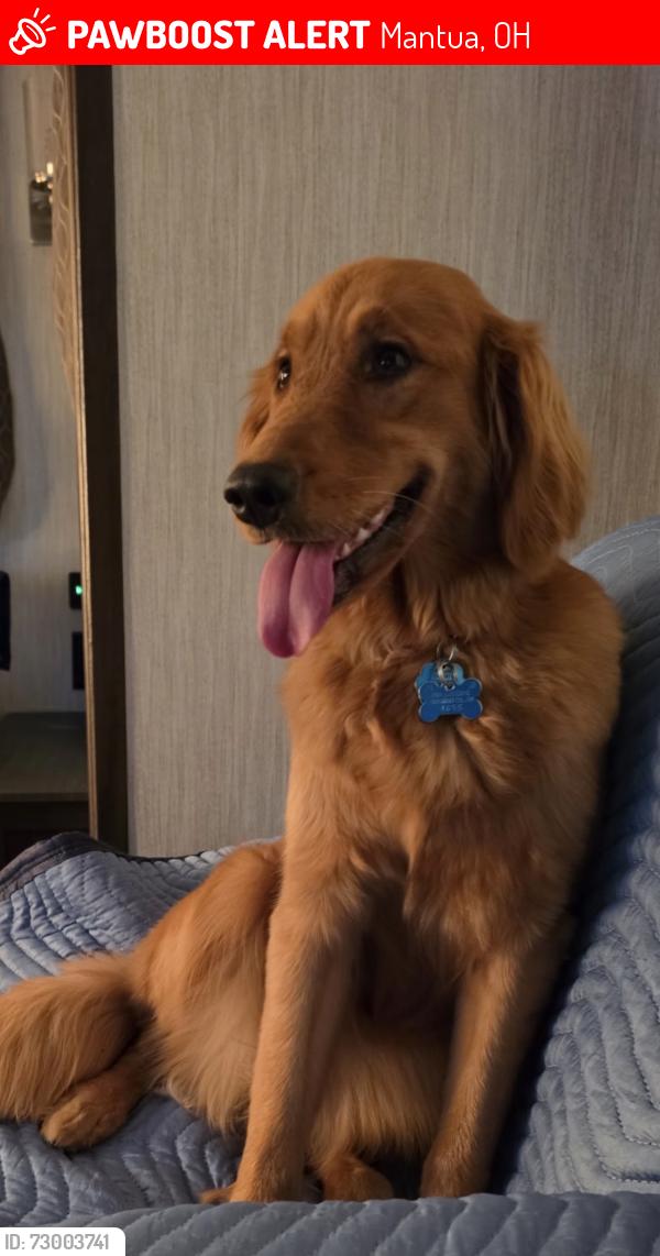 Lost Female Dog last seen Roundup Lake Campground, Mantua, OH 44255