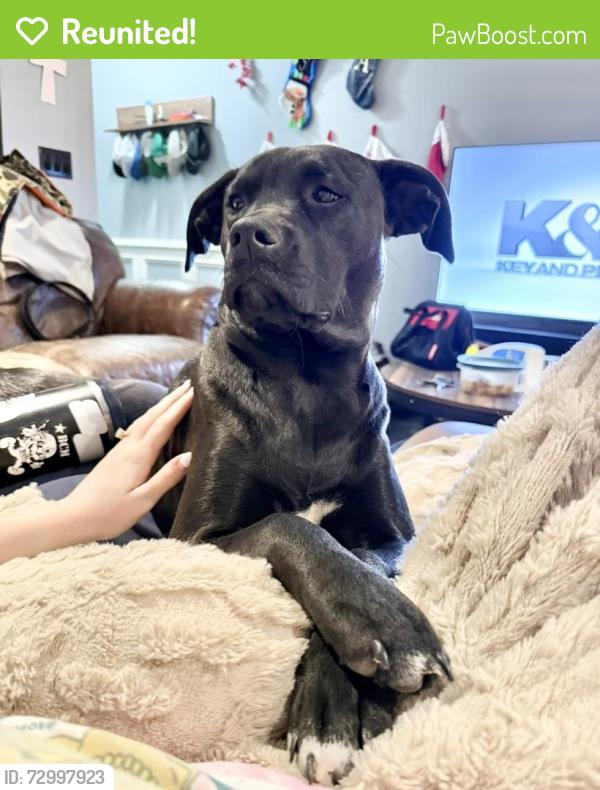 Reunited Female Dog last seen Near Eastman Dr, Oklahoma City, OK 73122, USA, Oklahoma City, OK 73122