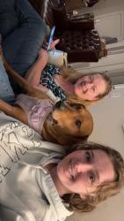 Lost Male Dog last seen Near coronet st, Summerville sc, Summerville, SC 29483