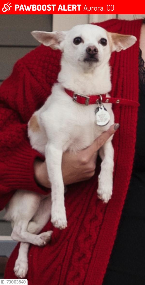 Lost Male Dog last seen NW neighborhood Hampden and Buckley, Aurora, CO 80013
