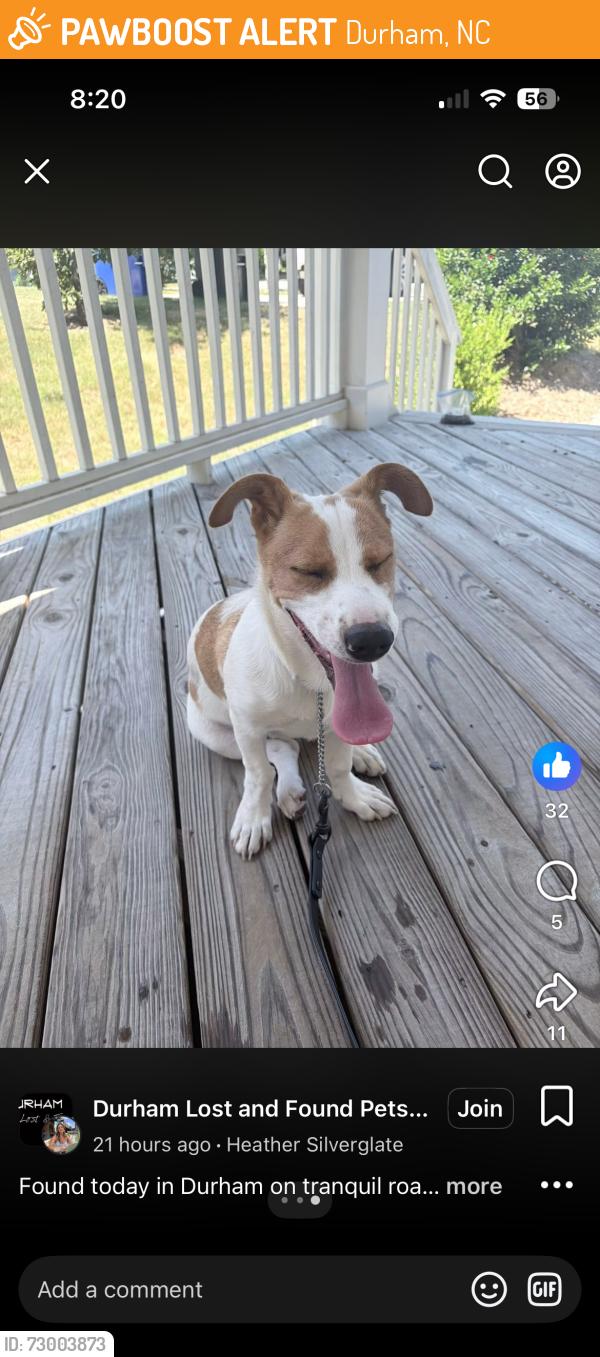 Found/Stray Male Dog last seen Between Fayetteville rd, Durham, NC 27713