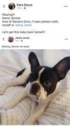 Reunited Male Dog last seen Steven’s Entry, Peachtree City, GA 30269