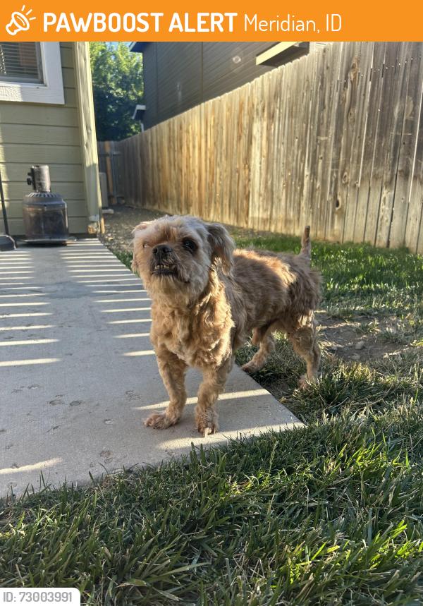 Found/Stray Male Dog last seen cherry and linder , Meridian, ID 83646