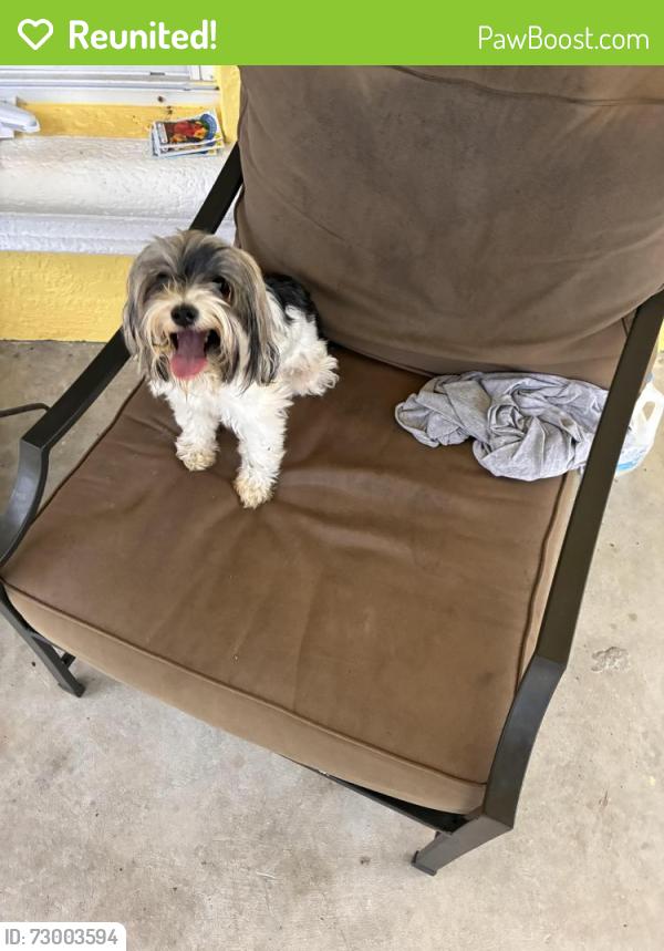 Reunited Unknown Dog last seen NE 5th Terr, Cape Coral, FL 33909