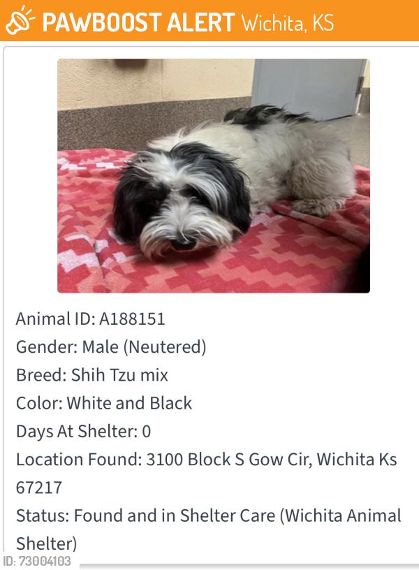 Found/Stray Male Dog last seen West & 31, Wichita, KS 67217