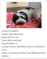 Found/Stray Male Dog last seen West & 31, Wichita, KS 67217