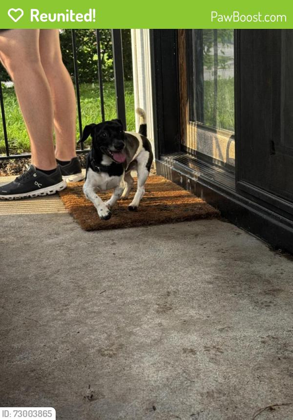 Reunited Male Dog last seen 85th and Lafayette , Omaha, NE 68114