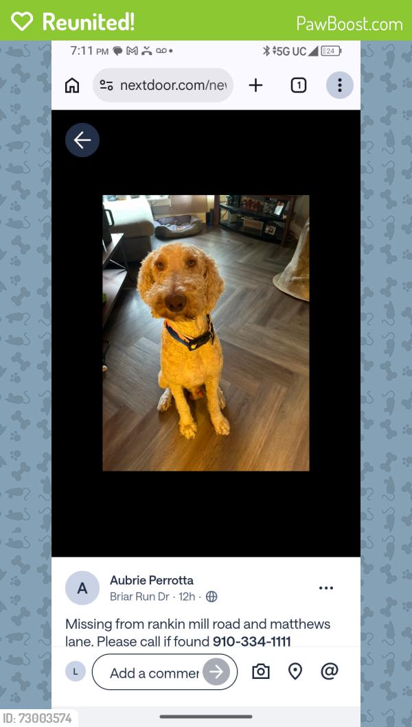 Reunited Male Dog last seen Rankin mill rd, Greensboro, NC 27405