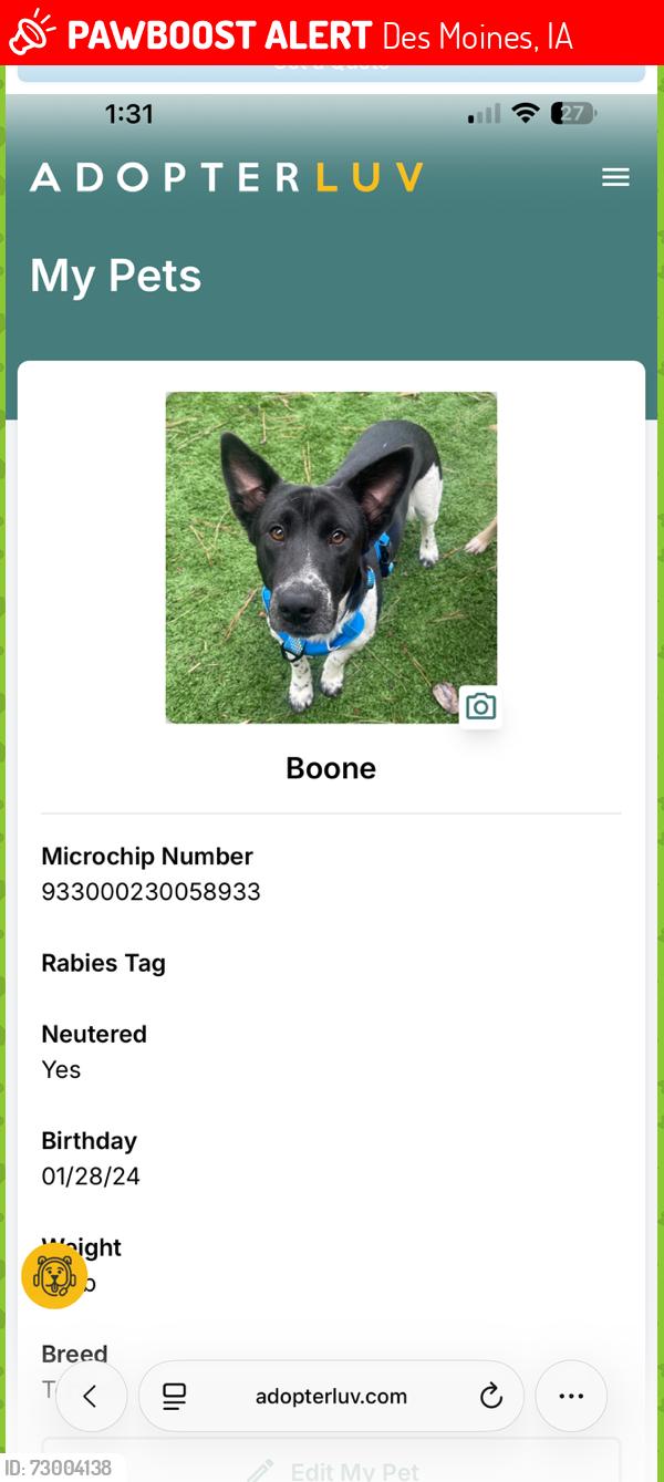 Lost Male Dog last seen Qualla Rd /Pinet rd and Riverbend Dr, Des Moines, IA 50314