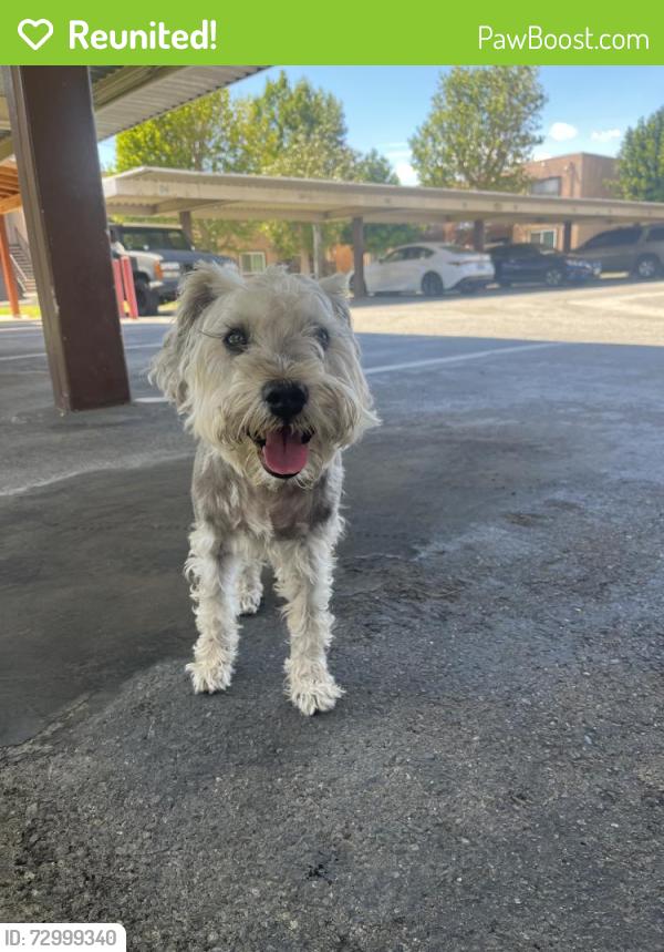 Reunited Male Dog last seen Merrill Ave, Fontana, CA 92335, USA, Fontana, CA 92335