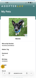 Lost Male Dog last seen Qualla Rd /Pinet rd and Riverbend Dr, Des Moines, IA 50314