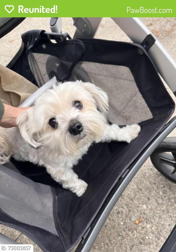 Reunited Unknown Dog last seen 18th and lake street , San Francisco, CA 94121
