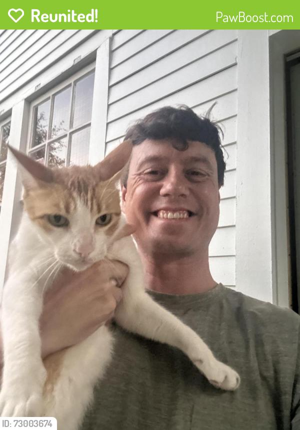 Reunited Male Cat last seen State and Laurel Street, New Orleans, LA 70118