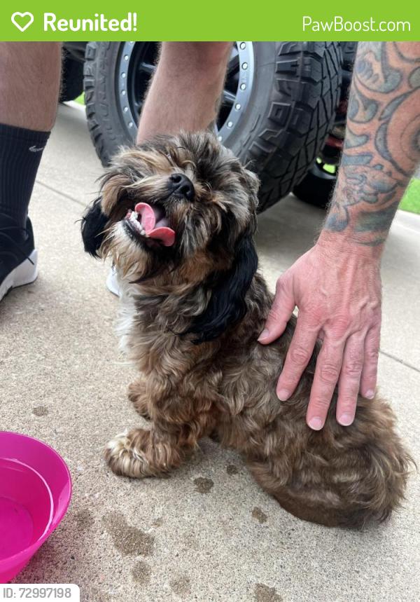 Reunited Male Dog last seen E 81st St and S Fir Ave, Broken Arrow, OK 74012