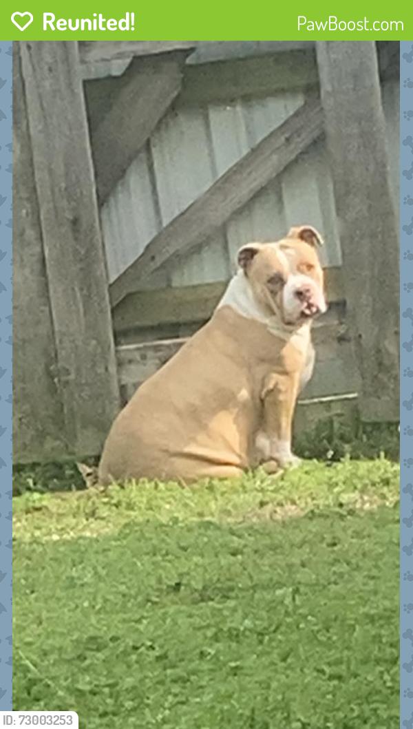 Reunited Female Dog last seen Sellers park, Oklahoma City, OK 73159