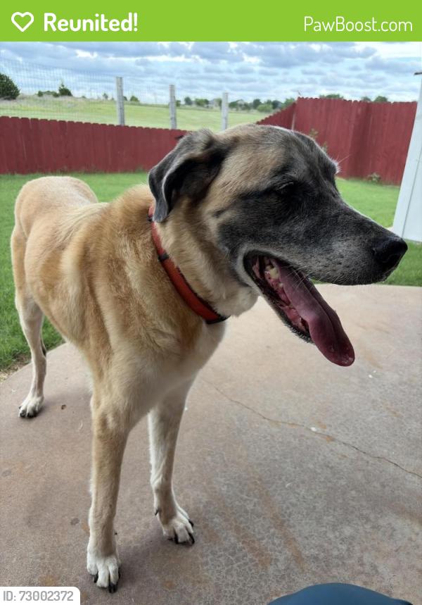 Reunited Unknown Dog last seen Park at Woodvine, Edmond, OK 73012