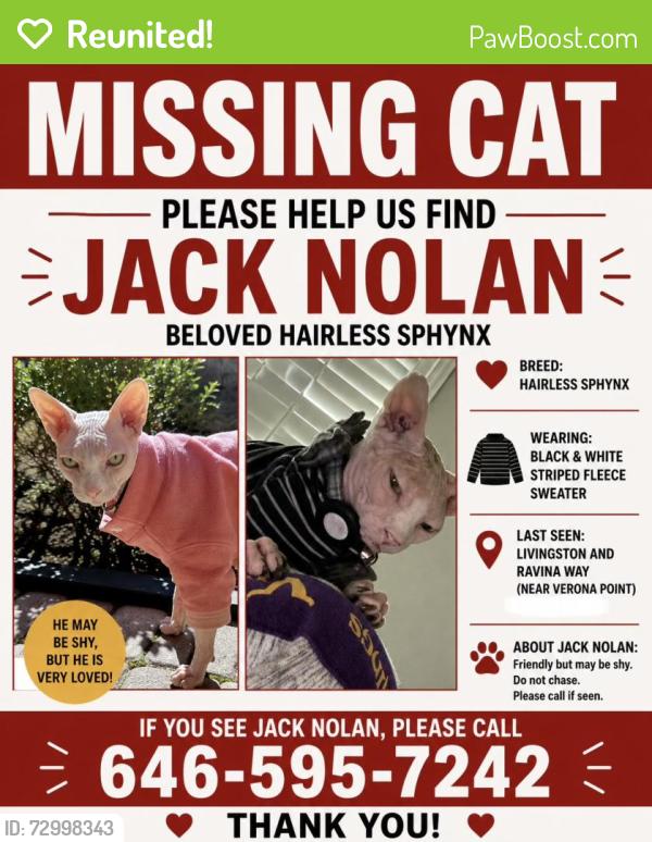Reunited Male Cat last seen Livingston and ravina way , North Naples, FL 34110