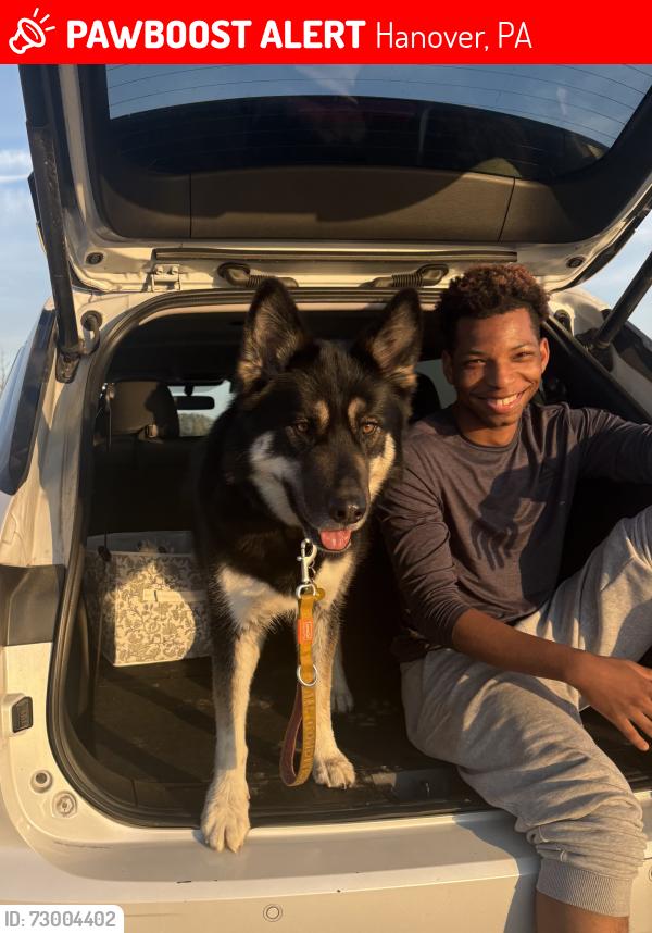 Lost Male Dog last seen NA, Hanover, PA 17331
