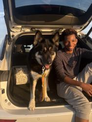 Lost Male Dog last seen NA, Hanover, PA 17331