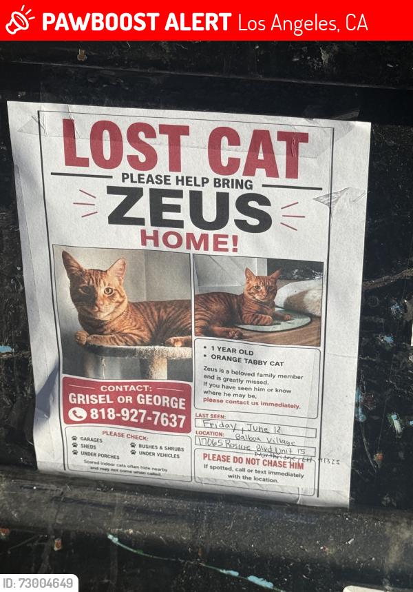 Lost Male Cat last seen Northridge, Los Angeles, CA 91325
