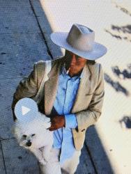 Lost Male Dog last seen Near hollywood blvd, Los Angeles, CA 90028