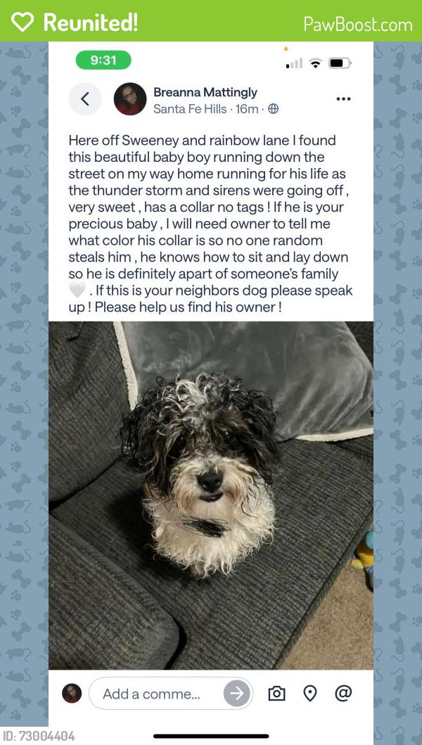 Reunited Male Dog last seen W Rainbow Ln, Kansas City, MO 64114, USA, Kansas City, MO 64114
