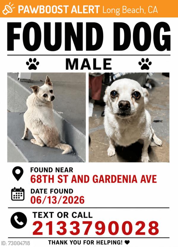 Found/Stray Male Dog last seen 68th st and Gardenia Ave, Long Beach, CA 90805