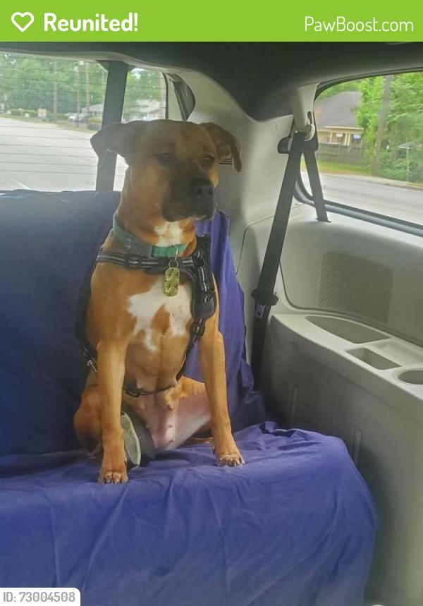 Reunited Female Dog last seen Blairstone cir, Copeland road, magnolia cir, Valdosta, GA 31601