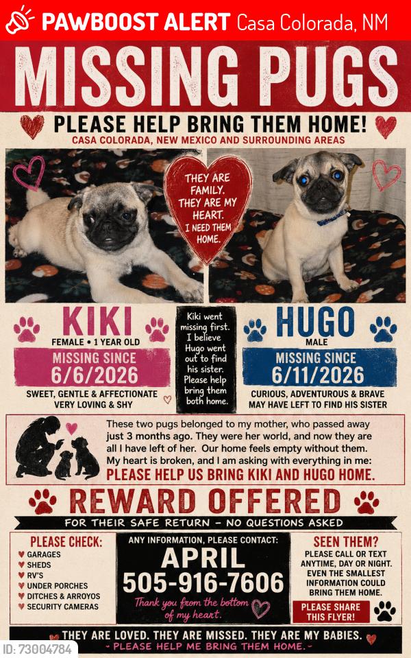 Lost Female Dog last seen Casa colorada, Casa Colorada, NM 87002