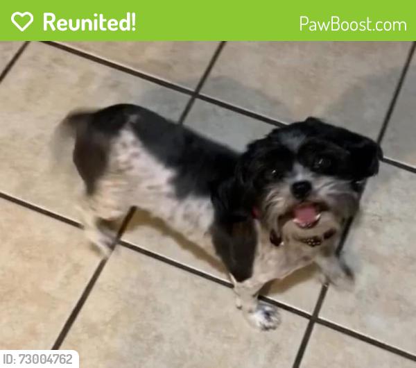 Reunited Female Dog last seen Near W Del Plata Ln, Yuma, AZ 85364, USA, Yuma, AZ 85364