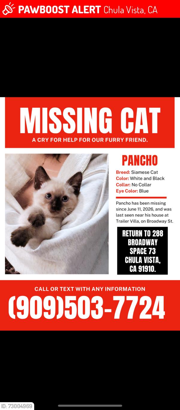 Lost Male Cat last seen Near broadway Chula Vista , Chula Vista, CA 91910