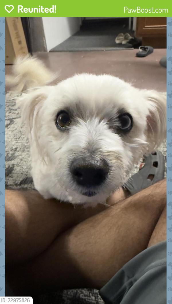 Reunited Male Dog last seen Evora Rd near USI Public Rifle Pistol Range, Bay Point, CA 94565