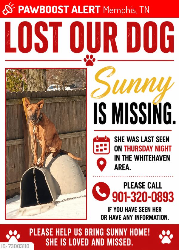 Lost Female Dog last seen McCorkle Road, Memphis, TN 38116