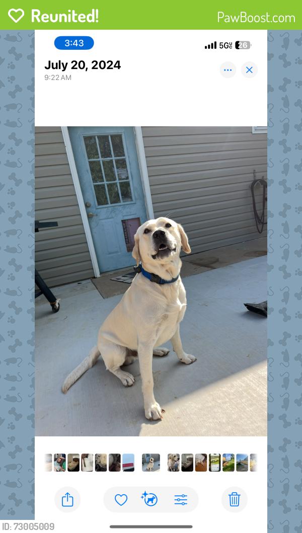 Reunited Male Dog last seen Near country life, O'Fallon, MO 63366