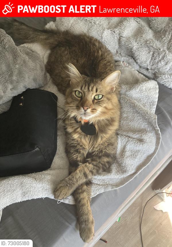 Lost Male Cat last seen Near the hse of 1711 Windsor chase ct , Lawrenceville, GA 30043