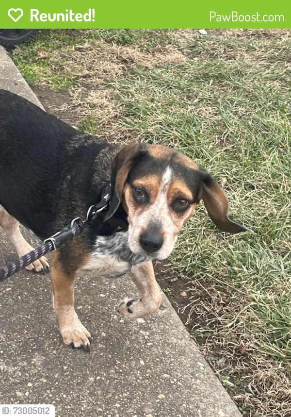 Reunited Male Dog last seen l-95, Dumfries, VA 22026